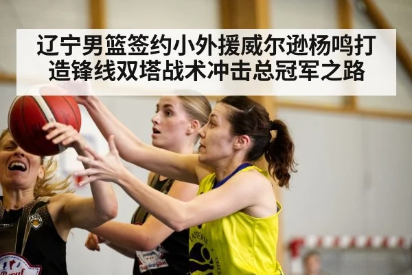 辽宁男篮签约小外援威尔逊杨鸣打造锋线双塔战术冲击总冠军之路