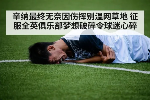 辛纳最终无奈因伤挥别温网草地 征服全英俱乐部梦想破碎令球迷心碎
